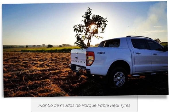 Plantio de mudas Real Tyres Premium